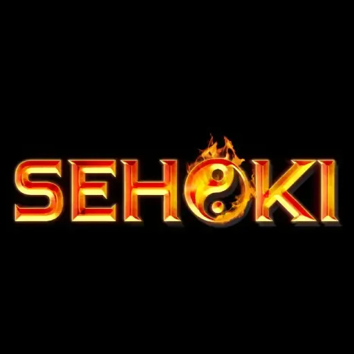 SEHOKI - Game TPS Seru dan Menantang